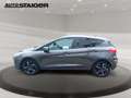Ford Fiesta 1.0 EcoBoost Cool & Connect Automatik, PDC Gris - thumbnail 10