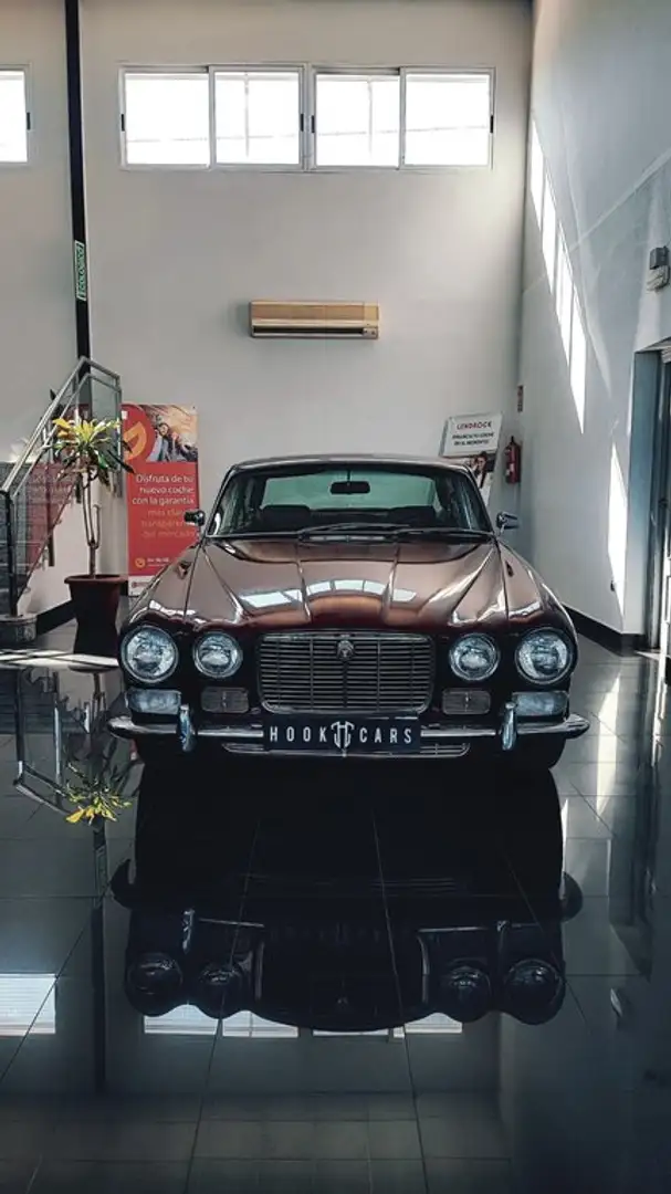 Jaguar XJ XJ6 3.2 Burdeos - 2