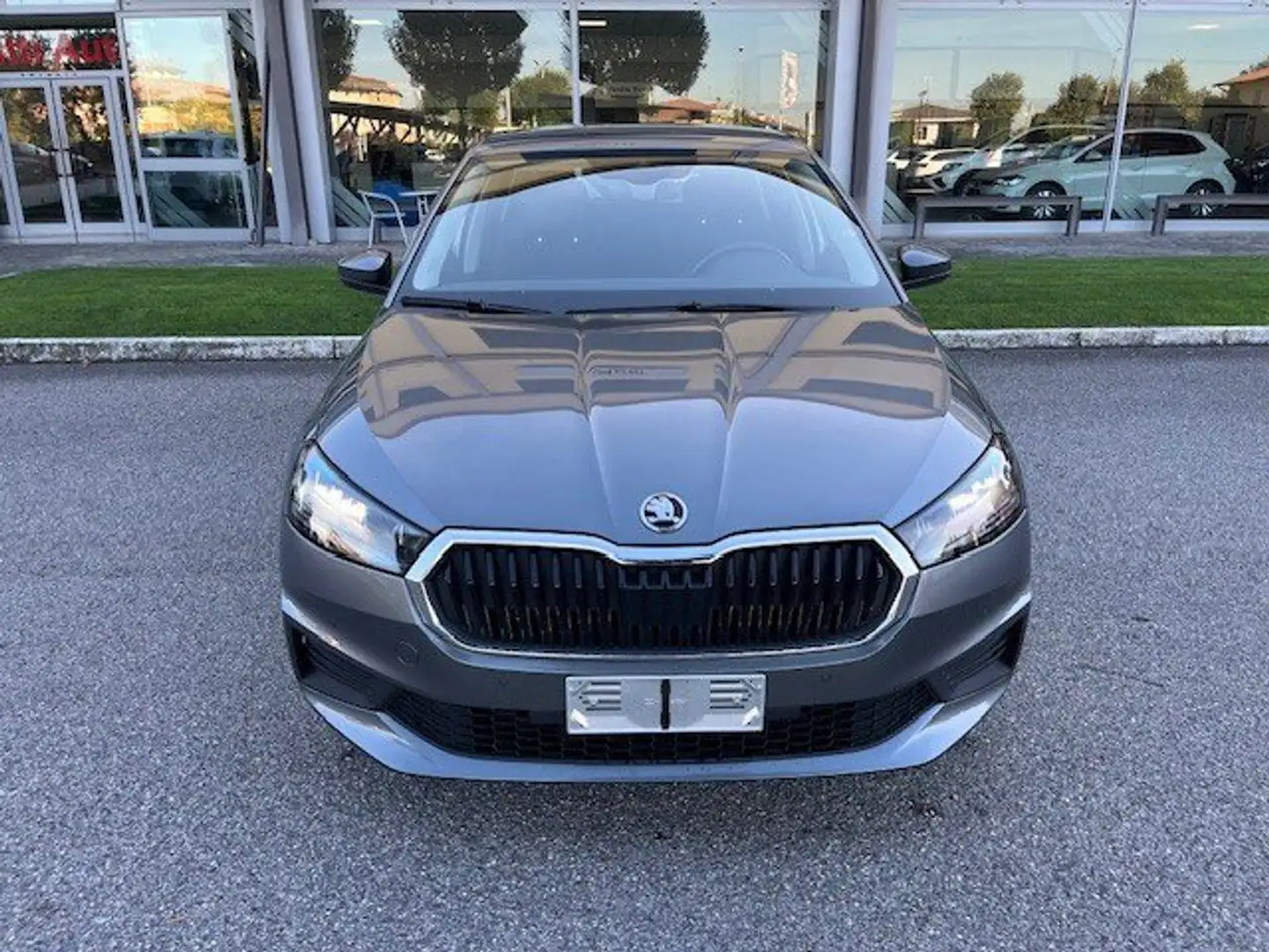 Skoda Fabia Fabia 1.0 TSI DSG 110 CV Selection - 2