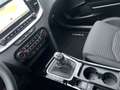 Kia Ceed / cee'd ULTIMATE EDITION 1.0 T-GDI *STYLE-PAKET* Grau - thumbnail 20