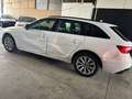 Audi A4 Avant 35 TDI advanced Mild-Hybrid Blanc - thumbnail 9