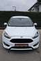 Ford Focus ST Line Weiß - thumbnail 3