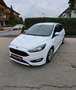 Ford Focus ST Line Weiß - thumbnail 1