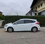 Ford Focus ST Line Weiß - thumbnail 4