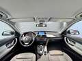 BMW 320 Serie 3 F31 Touring 320d Touring Sport Blu/Azzurro - thumbnail 17