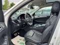 Mercedes-Benz GLE 350 GLE 350 d Premium Plus AMG 4matic  Tetto+Led+Navi Blanc - thumbnail 8