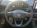 CUPRA Terramar 2.0 TSI 195 kW 4Drive VZ SENNH. AHK SHZ MATRIX-LED Grau - thumbnail 13