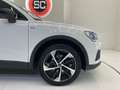 Audi Q3 35 1.5 tfsi Business Advanced s-tronic Bianco - thumbnail 6