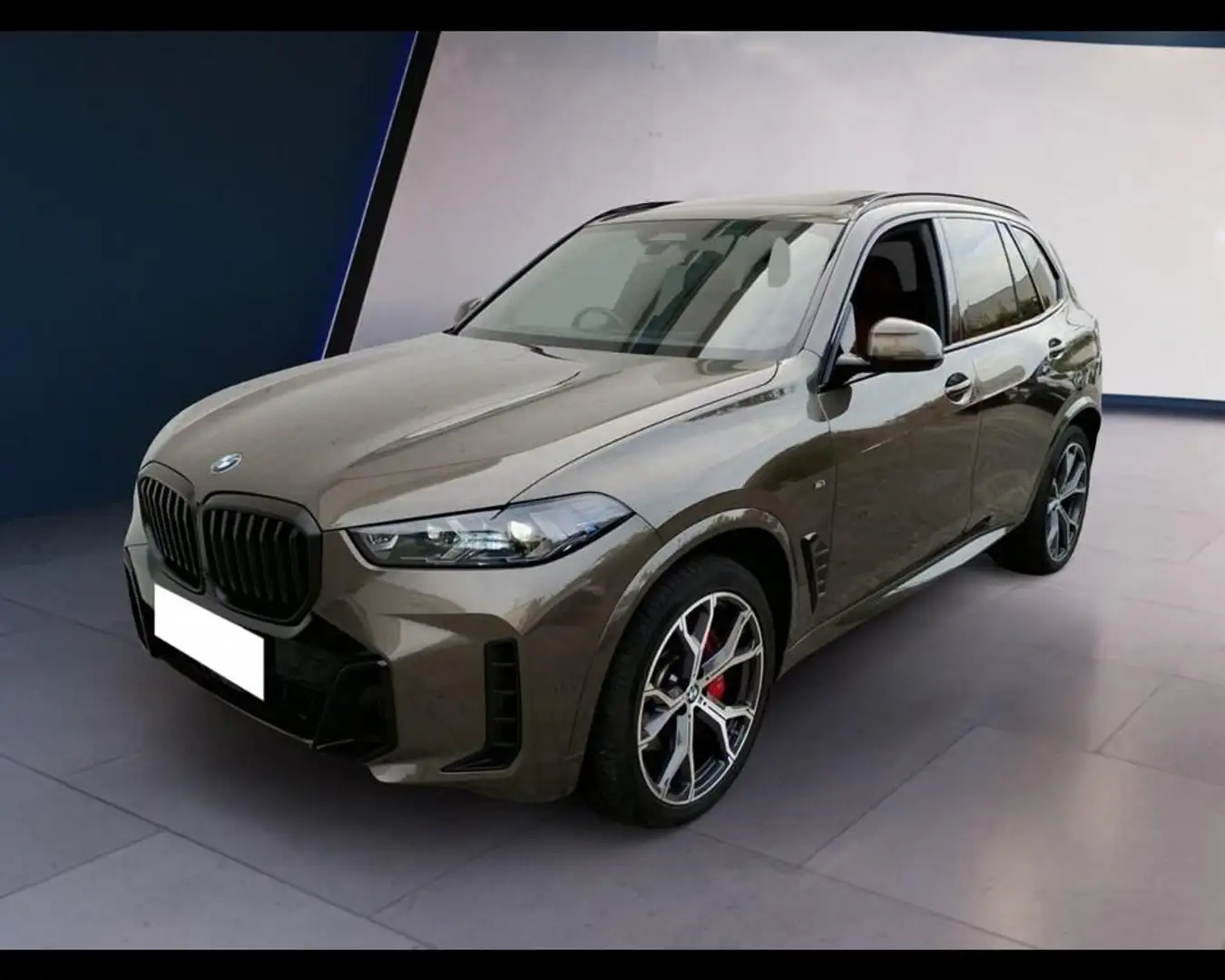 BMW X5 xdrive30d Msport auto - 1