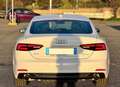 Audi A5 AUDI A5 SPB G-TRON S-LINE S-TRONIC FULL OPTIONALS Bianco - thumbnail 11