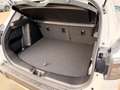 Suzuki S-Cross 1.4 GL+ HYBRID ALLGRIP L3V01 Shine Weiß - thumbnail 6