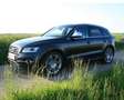 Audi SQ5 SQ5 3,0 TDI quattro DPF Tiptronic Schwarz - thumbnail 2