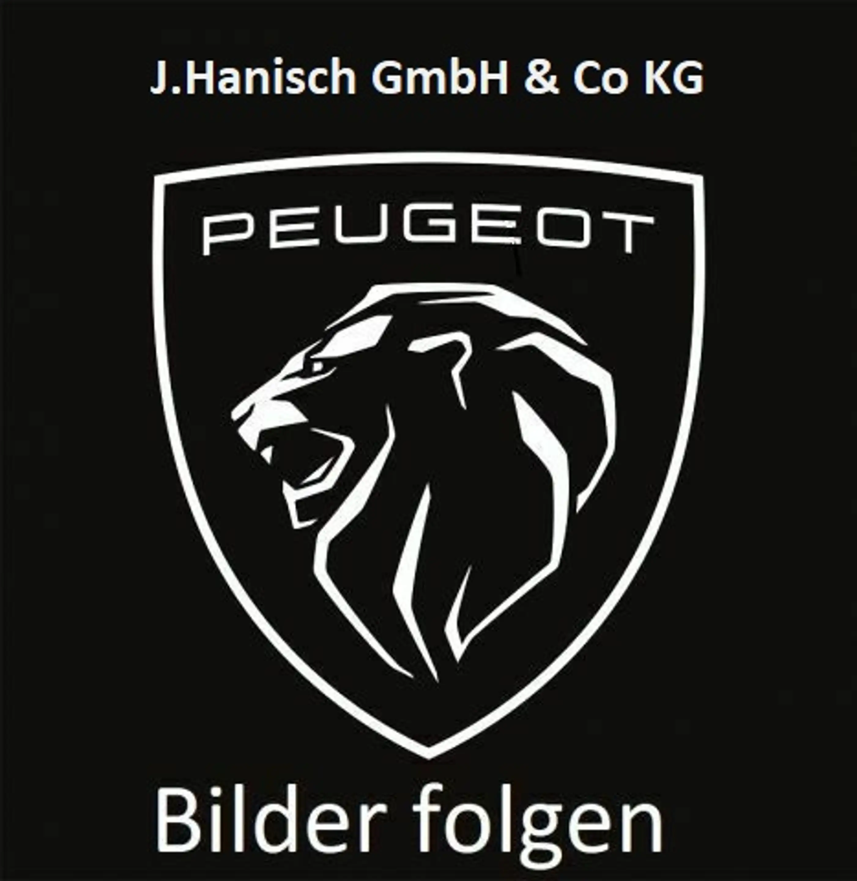 Peugeot 2008 Elektro Active Pack