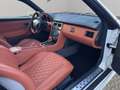 Mercedes-Benz SLK 230 Kompressor (170.447) Weiß - thumbnail 13