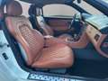 Mercedes-Benz SLK 230 Kompressor (170.447) Weiß - thumbnail 15