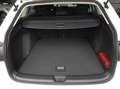 Volkswagen Golf Variant Life 1.5 TSI Anschlussg PDC Sitzh. MFL GRA Weiß - thumbnail 4