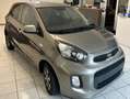 Kia Picanto 1.0 Techno Glam 69cv 5p Bronzo - thumbnail 6