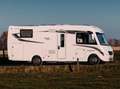 Florium Fleurette fiat DIS 71LMR Blanc - thumbnail 2