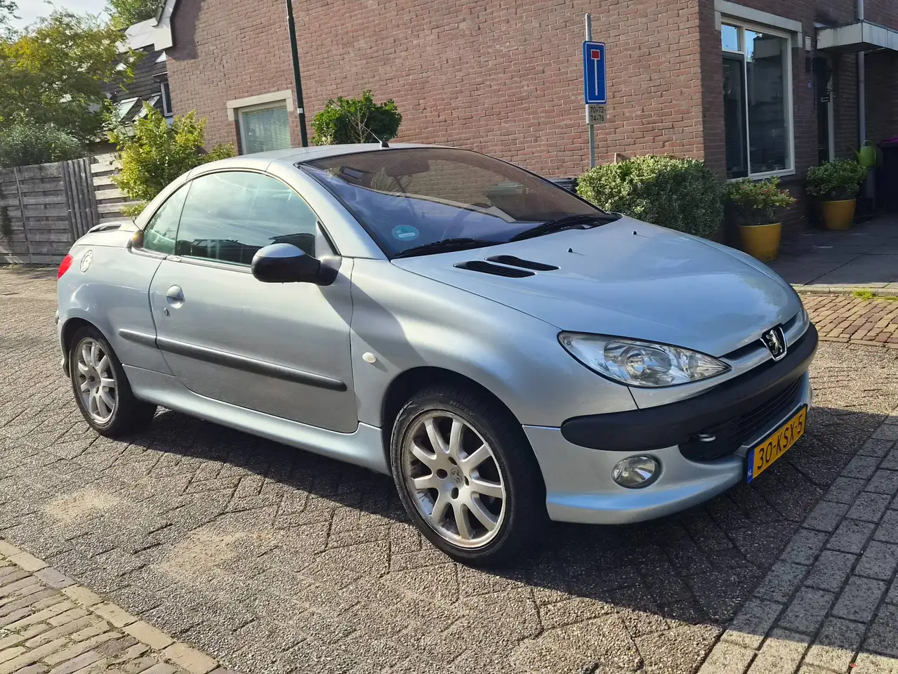 Peugeot 206 2.0-16V, foto 10