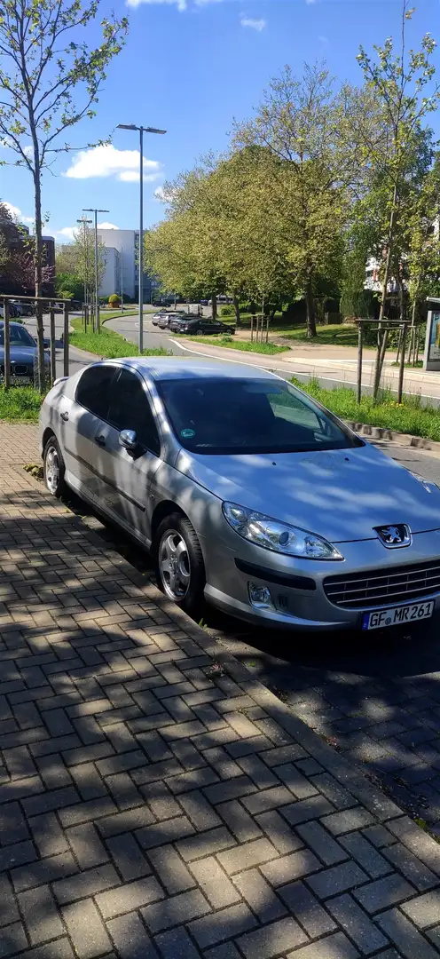 Peugeot 407 115 Esplanade - 1