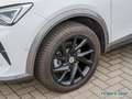 CUPRA Formentor 2.0TSI DSG LED/ASSISTENZ XL/KAMERA/SHZ Weiß - thumbnail 10