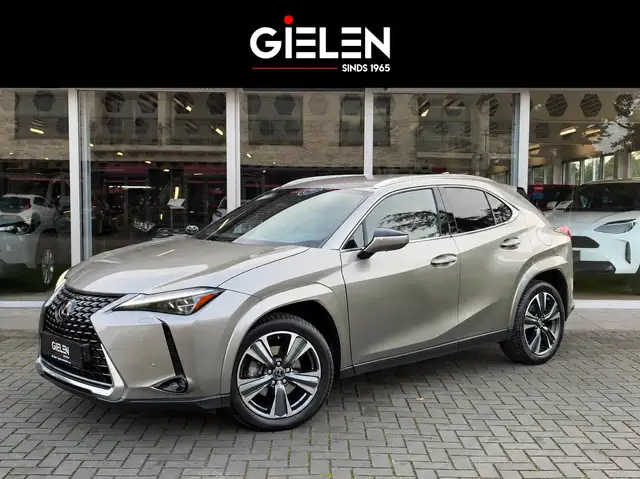 Lexus UX 250h Executive Line President Pack | Mark Levinson, 360