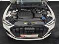 Audi Q3 40 TDI quattro S line Black Matrix-LED Navi Weiß - thumbnail 15