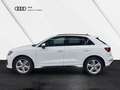 Audi Q3 40 TDI quattro S line Black Matrix-LED Navi Weiß - thumbnail 3