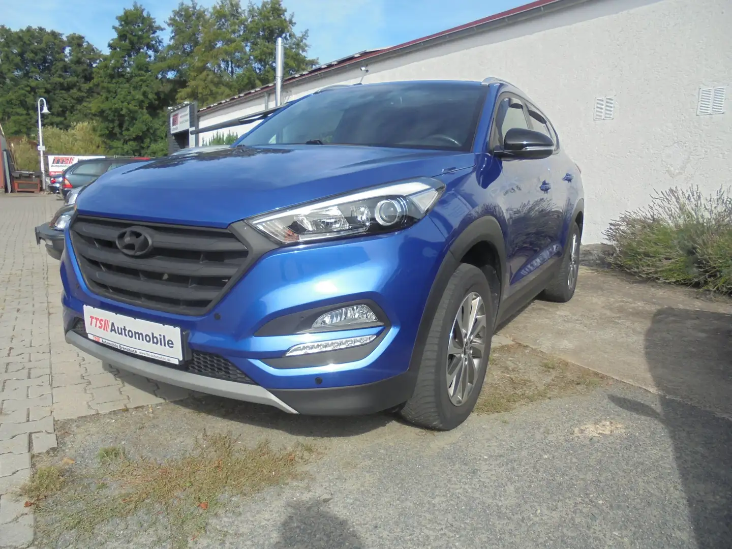 Hyundai TUCSON Tucson blue 1.6 GDi 2WD Passion Blau - 1