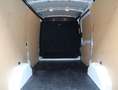Ford Transit Kasten 320 L2H2 Trend/PDC/Klima/Kamera Blanc - thumbnail 11
