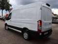 Ford Transit Kasten 320 L2H2 Trend/PDC/Klima/Kamera Blanc - thumbnail 28