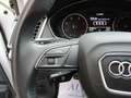 Audi Q5 35 TDI quattro S tronic Business Sport Blanc - thumbnail 17