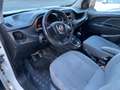 Fiat Doblo Doblo 1.3D MAXICOMBI Utilitaire 2 Plcs/ VE /CARNET Blanc - thumbnail 14