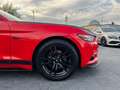 Ford Mustang 3.7 Aut. Coupe SHELBY-OPTIK*R-Kamera*LPG Red - thumbnail 15