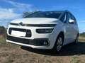 Citroen Grand C4 Picasso Grand C4 Picasso BlueHDI 120 S Weiß - thumbnail 2