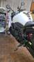 Yamaha FZ 1 Bianco - thumbnail 4