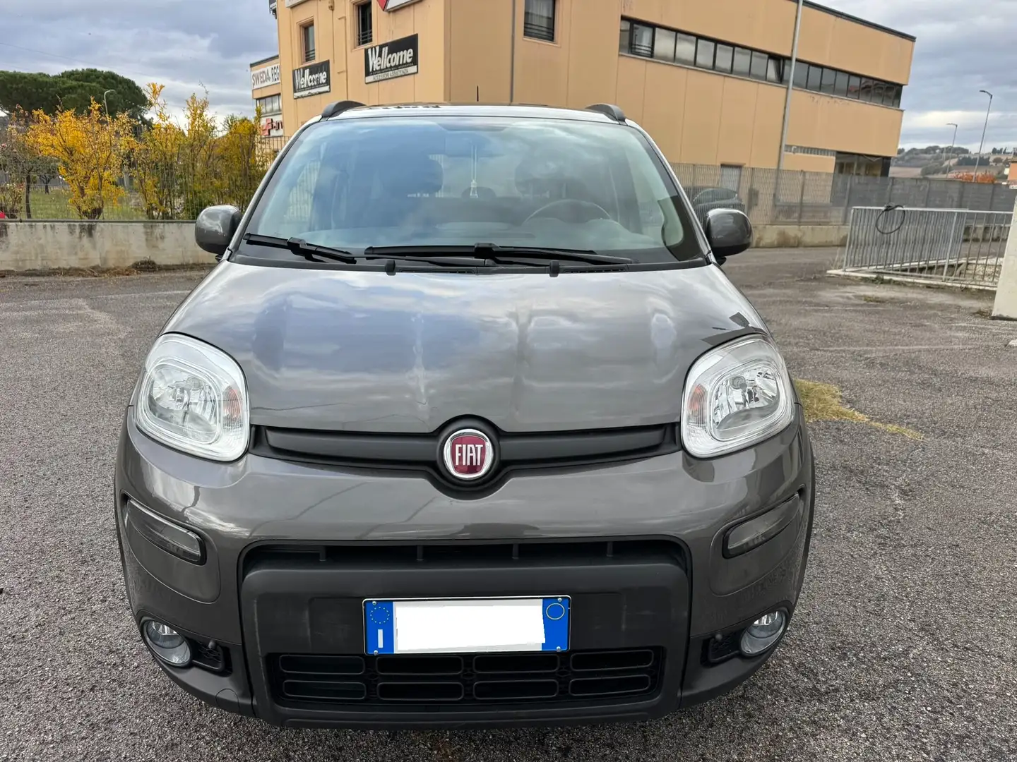 Fiat Panda Panda 1.0 hybrid 70cv GPL City Life km 19.000 Grigio - 2