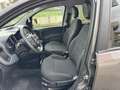 Fiat Panda Panda 1.0 hybrid 70cv GPL City Life km 19.000 Grigio - thumbnail 12