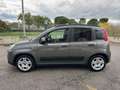 Fiat Panda Panda 1.0 hybrid 70cv GPL City Life km 19.000 Grigio - thumbnail 6