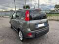 Fiat Panda Panda 1.0 hybrid 70cv GPL City Life km 19.000 Grigio - thumbnail 3