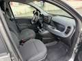 Fiat Panda Panda 1.0 hybrid 70cv GPL City Life km 19.000 Grigio - thumbnail 13