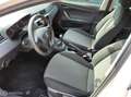 SEAT Ibiza 1.0 TSI Style 5d 12 mnd bovag garantie Wit - thumbnail 12