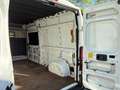 Fiat Ducato 35L 2.3 MultiJet L3H2, LAADKLEP, airconditioning, Wit - thumbnail 11