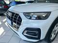 Audi Q5 Q5 35 2.0 tdi mhev 12V s-tronic Bianco - thumbnail 3