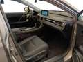 Lexus RX 350 Hybrid Executive - thumbnail 6