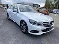 Mercedes-Benz E 220 BlueTEC BE T Edition AVANTG. Auto. Blanco - thumbnail 3