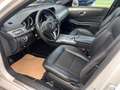 Mercedes-Benz E 220 BlueTEC BE T Edition AVANTG. Auto. Wit - thumbnail 7