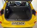 Ford Puma FWD Premium Panoramadach+Carplay+Sitzheizung Jaune - thumbnail 12
