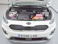 Kia Niro 1.6 HEV Drive Blanco - thumbnail 42