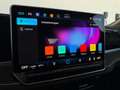 Volkswagen Passat Variant Business TDI DSG Grau - thumbnail 17